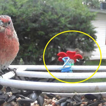 Load image into Gallery viewer, Hat Clip Hummingbird Feeder