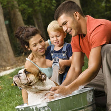 Load image into Gallery viewer, High Pressure Electric Sprayer