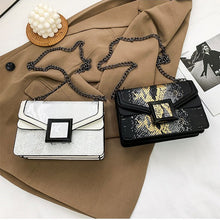 Load image into Gallery viewer, Vintage Square Chain Bag