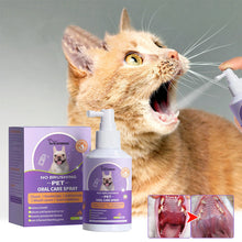 Load image into Gallery viewer, Teeth Cleaning Spray for Dogs & Cats