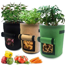 Load image into Gallery viewer, Vegetables Planter Bag