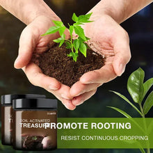 Load image into Gallery viewer, Soil Activated Treasure