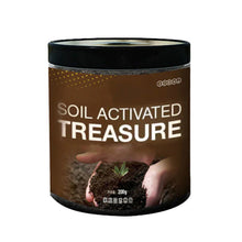 Load image into Gallery viewer, Soil Activated Treasure