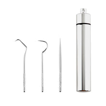 Load image into Gallery viewer, Stainless Steel Toothpick Set