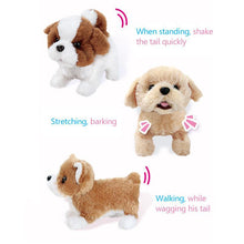 Load image into Gallery viewer, Realistic Teddy Dog Lucky