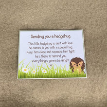 Load image into Gallery viewer, 🦔Mini Knitted Hedgehog Decoration