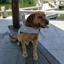 Load image into Gallery viewer, Dog Swimming Safe Jacket