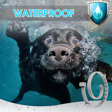 Load image into Gallery viewer, Adjustable Pet Insect Repellent Collar