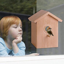 Load image into Gallery viewer, DIY Sucker Bird Nest
