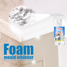 Load image into Gallery viewer, Mould & Mildew Remover Cleaning Spray