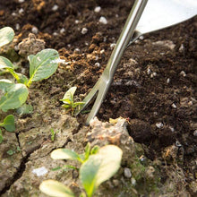 Load image into Gallery viewer, Garden Hand Weeder