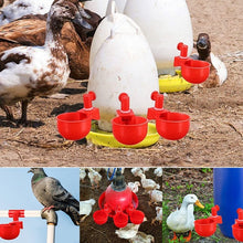 Load image into Gallery viewer, Automatic Poultry Waterer