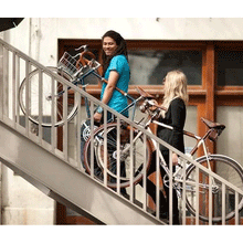 Load image into Gallery viewer, Bicycle Frame Handle - The "Little Lifter"