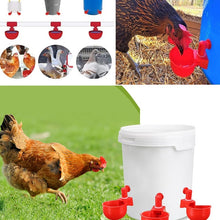 Load image into Gallery viewer, Automatic Poultry Waterer