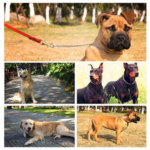 Load image into Gallery viewer, 304 Stainless Steel Choker P Chain Snake Necklace