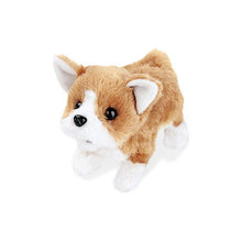 Load image into Gallery viewer, Realistic Teddy Dog Lucky