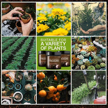 Load image into Gallery viewer, Soil Activated Treasure