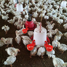 Load image into Gallery viewer, Automatic Poultry Waterer