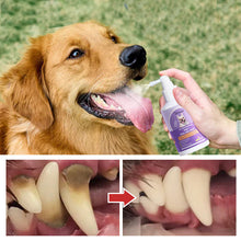 Load image into Gallery viewer, Teeth Cleaning Spray for Dogs & Cats