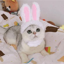 Load image into Gallery viewer, Cat Bunny Ears🔥