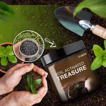 Load image into Gallery viewer, Soil Activated Treasure