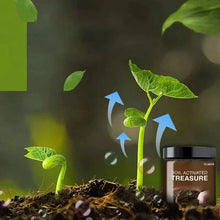 Load image into Gallery viewer, Soil Activated Treasure