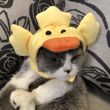 Load image into Gallery viewer, Cat Bunny Ears🔥
