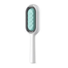 Load image into Gallery viewer, Pet Hair Removal Comb with Water Tank
