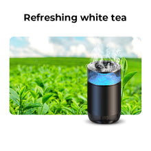 Load image into Gallery viewer, Spray Car Viewing Aromatherapy Diffuser
