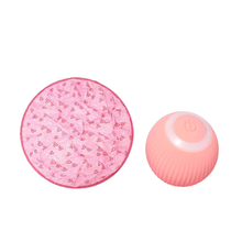 Load image into Gallery viewer, 2 in 1 Simulated Interactive Hunting Cat Toy
