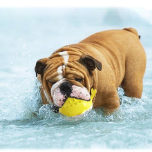Load image into Gallery viewer, Electric Floating Bath Toy
