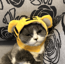 Load image into Gallery viewer, Cat Bunny Ears🔥
