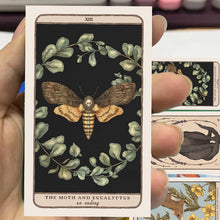 Load image into Gallery viewer, Woodland Wardens: A 52-Card Oracle Deck &amp; Guidebook
