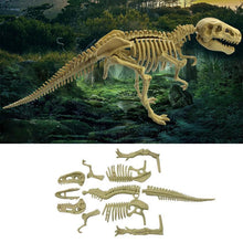 Load image into Gallery viewer, DIY Archaeological Mining Dinosaur Fossil Toys
