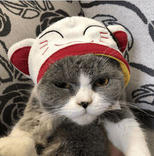 Load image into Gallery viewer, Cat Bunny Ears🔥
