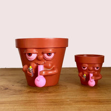 Load image into Gallery viewer, Pot Smoking Potted Planter
