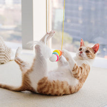 Load image into Gallery viewer, Adjustable Hanging Cat Toy
