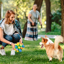 Load image into Gallery viewer, Dog Chew Toy
