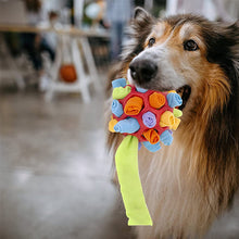 Load image into Gallery viewer, Dog Chew Toy
