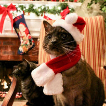 Load image into Gallery viewer, Christmas Decoration Santa Hat with Scarf
