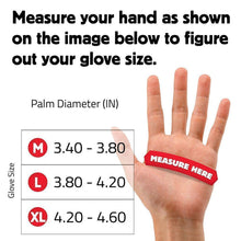 Load image into Gallery viewer, Hirundo Cut Resistant Gloves - Left &amp; Right ( 1 pair )
