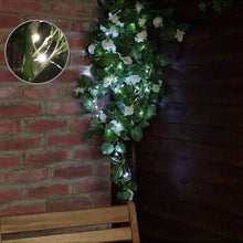 Load image into Gallery viewer, Solar Fairy String Light
