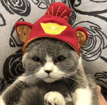 Load image into Gallery viewer, Cat Bunny Ears🔥
