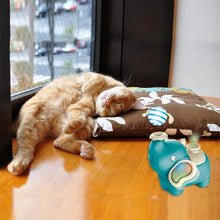 Load image into Gallery viewer, Blow Ball Spray Elephant Toys

