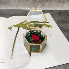 Load image into Gallery viewer, Hexagon Transparent Glass Jewelry Box
