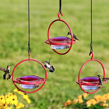 Load image into Gallery viewer, Hummble Slim Hummingbird Feeder
