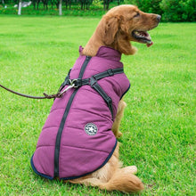 Load image into Gallery viewer, Winter Zipper Coat for Dogs
