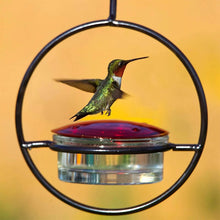 Load image into Gallery viewer, Hummble Slim Hummingbird Feeder

