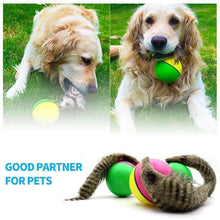 Load image into Gallery viewer, Weasel Ball For Pets
