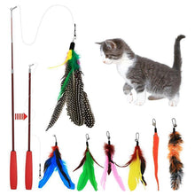 Load image into Gallery viewer, Feather Teaser Cat Toy Retractable Cat Feather Toy Wand
